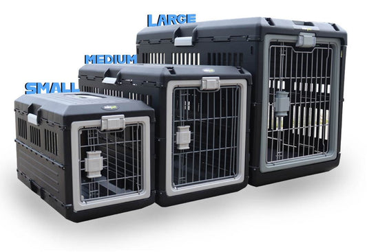 Airline Dog Crate Guide - Safe Care for Traveling Pets